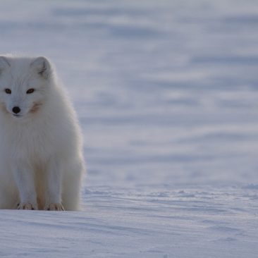 Svalbard, Norway