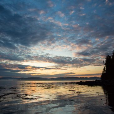 Great Bear Rainforest, Canada